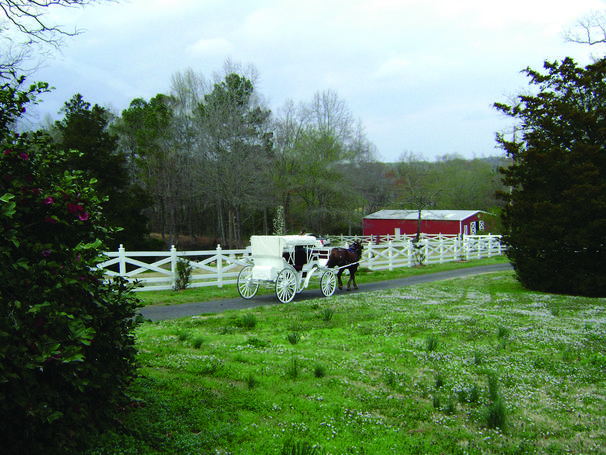 For Weddings Receptions Destination Weekend Weddings